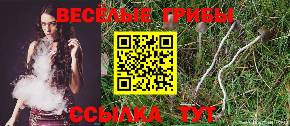 Галлюциногенные грибы прущие грибы  Вход с VPN  Топки 